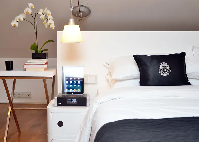 酒店 布朗斯精品酒店 3*