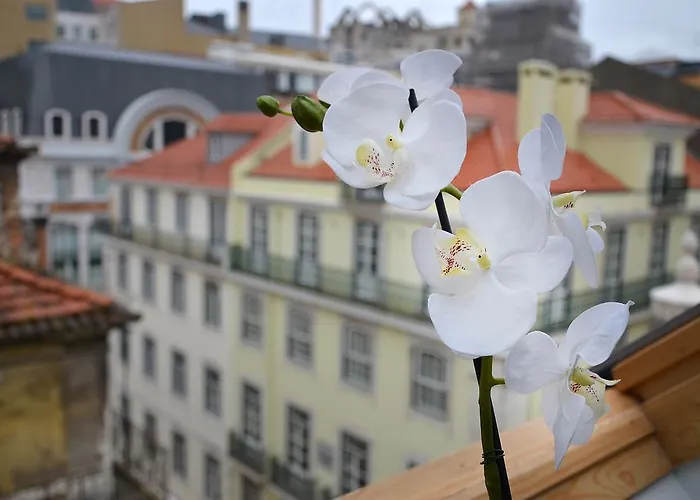 布朗斯精品酒店 3* Lisboa